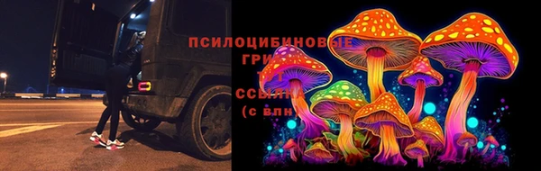 гашиш Арсеньев